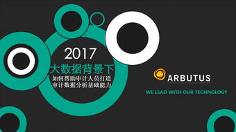 大數據環(huán)境下審計數據分析能力的構建路徑——基于互聯網數據服務的視角